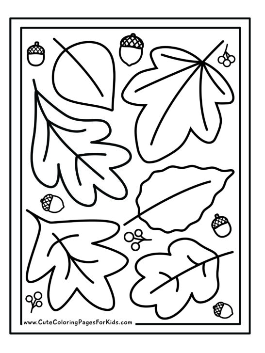 coloring page with fall leaf outlines, acorns, and a double lined border.