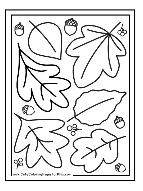 coloring page with fall leaf outlines, acorns, and a double lined border.