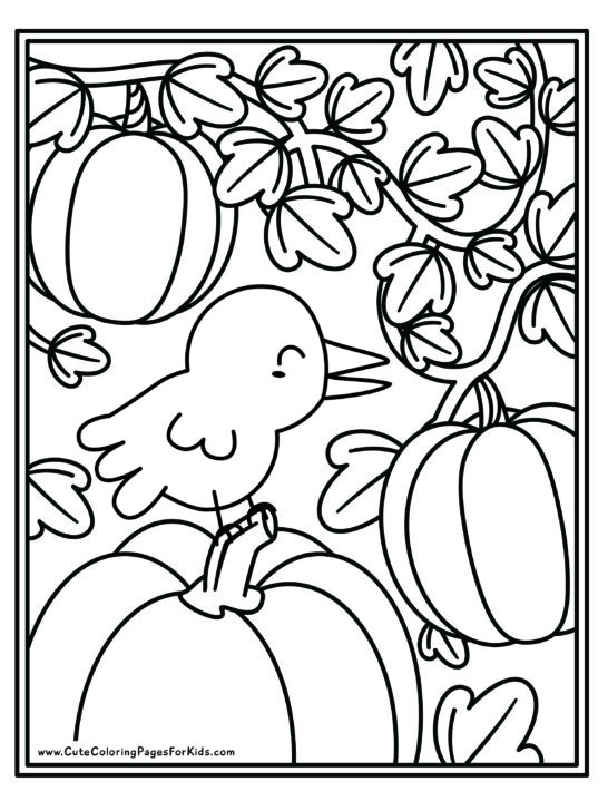 coloring sheet with picture of a cute crow surrounded by pumpkins and leafy vines