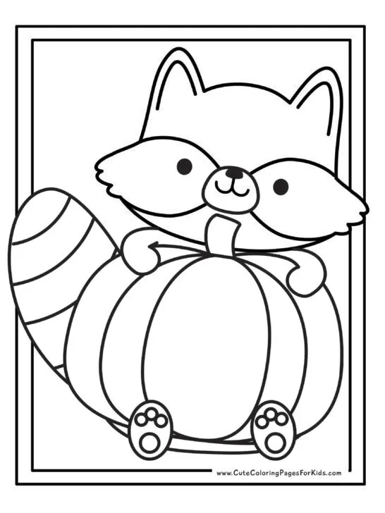 coloring page with drawing of a cute raccoon holding a giant pumpkin, with a two-line border around it.