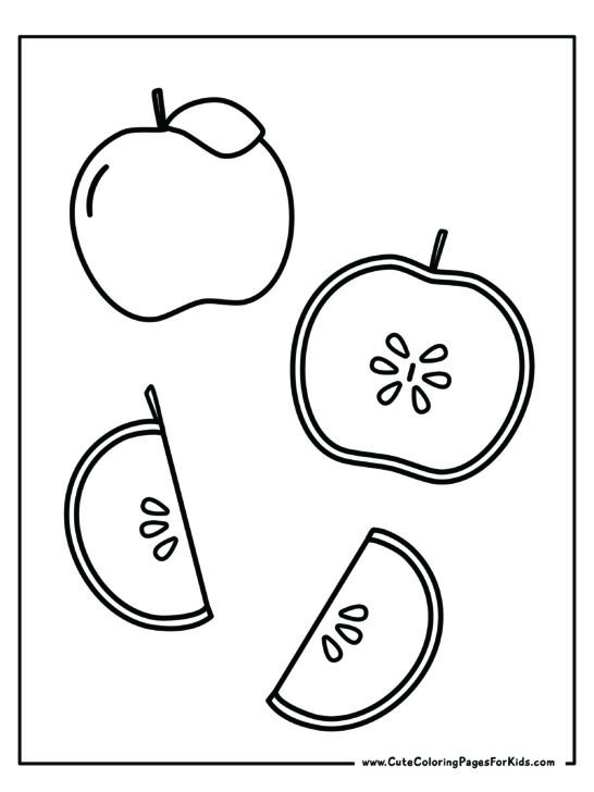 simple apple coloring sheet with whole apple and apple slices with seeds