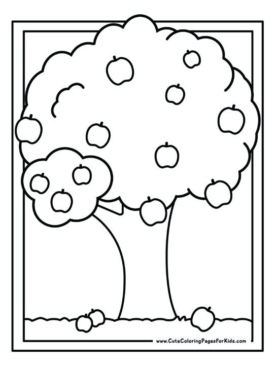 simple apple tree coloring page with double lined border